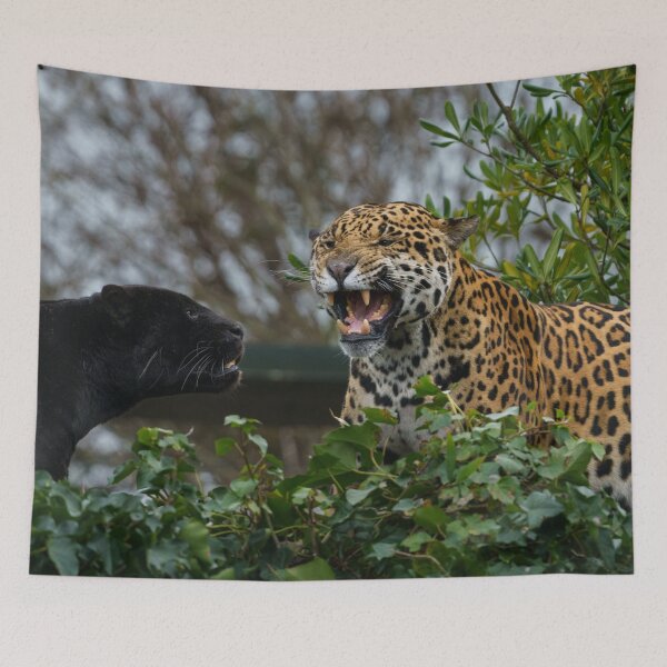 Item preview, Jaguar Growl designed and sold by rawshutterbug.