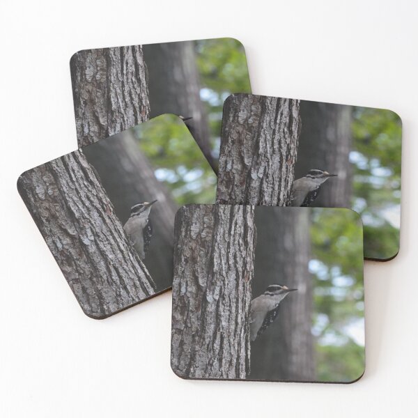 Item preview, Downy woodpecker looking back from tree designed and sold by enchantedvibes.