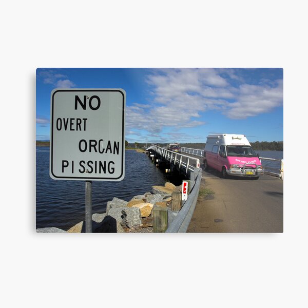 Taking The Piss Metal Print