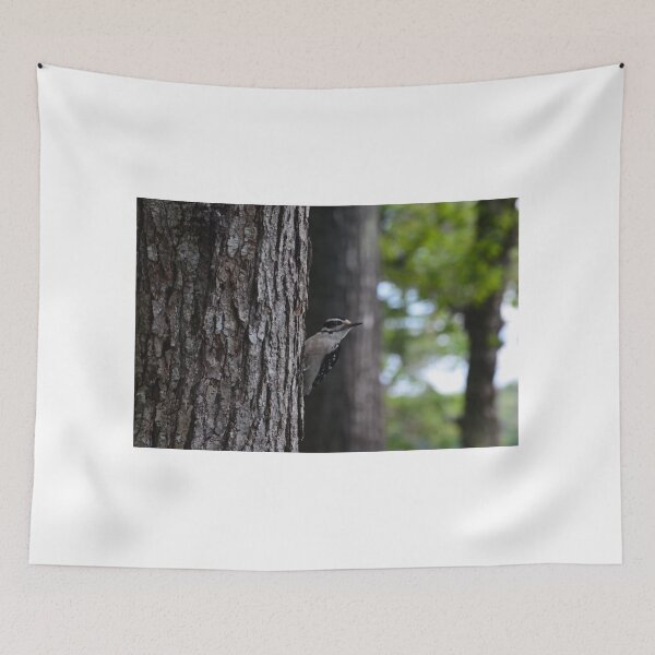 Item preview, Downy woodpecker looking back from tree designed and sold by enchantedvibes.