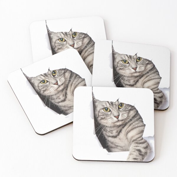 Artikelvorschau, Hauskatze entworfen und verkauft von RedShop24.