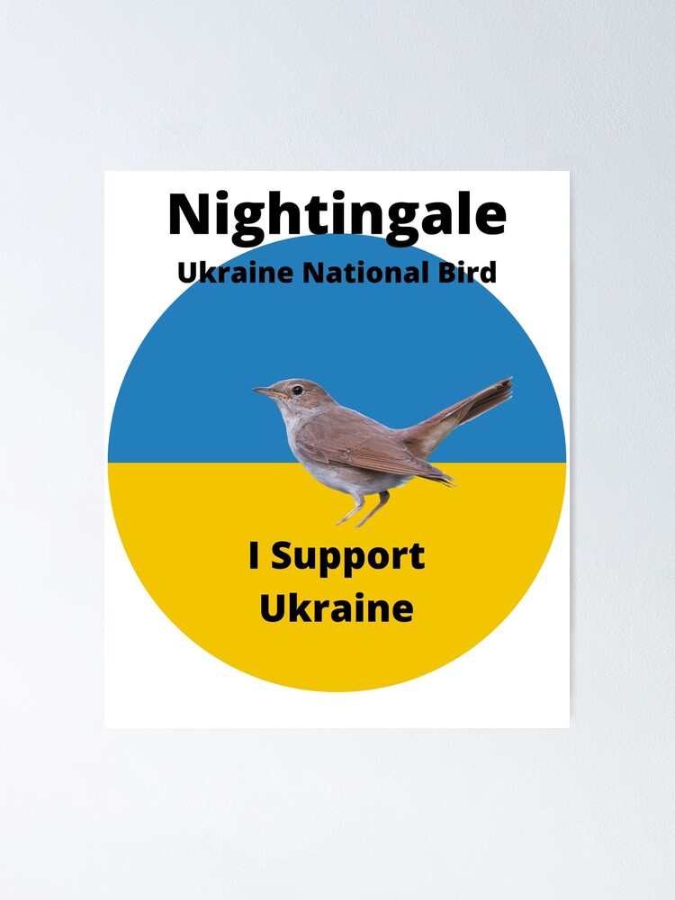 "Nightingale Ukraine National Bird" Poster by GoldenFern | Redbubble