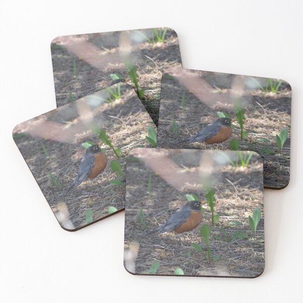 Item preview, Dandy robin designed and sold by enchantedvibes.