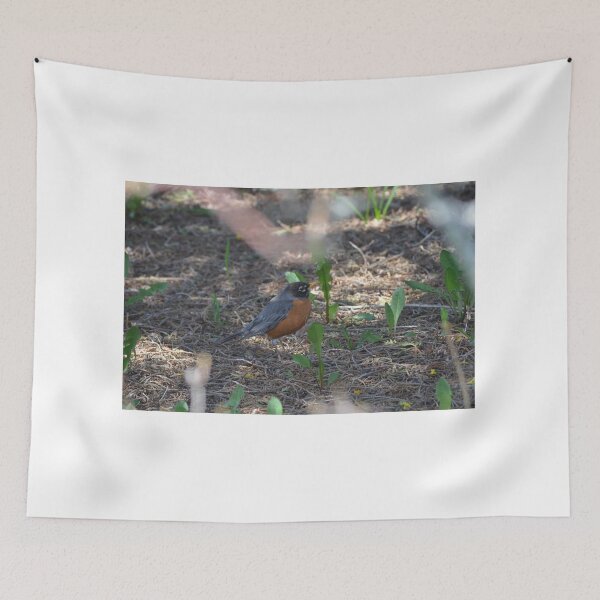 Item preview, Dandy robin designed and sold by enchantedvibes.