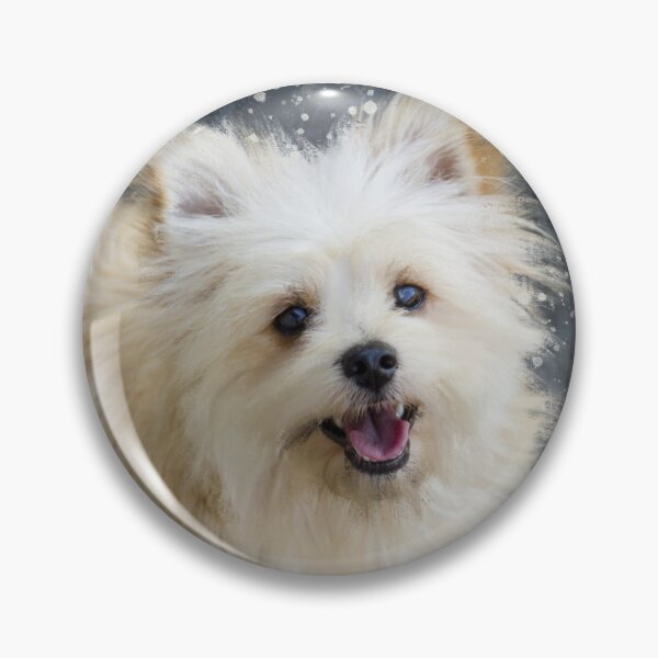 Item preview, Pomeranian, PomPom, Pomapoo, Poodle Portrait  designed and sold by OByD.