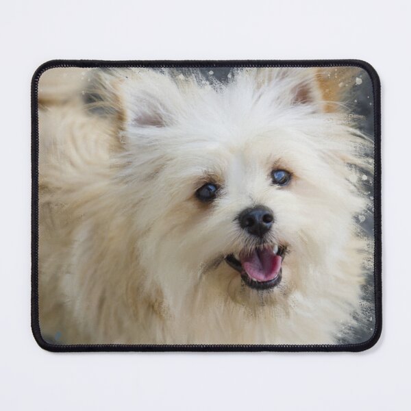 Item preview, Pomeranian, PomPom, Pomapoo, Poodle Portrait designed and sold by OByD.