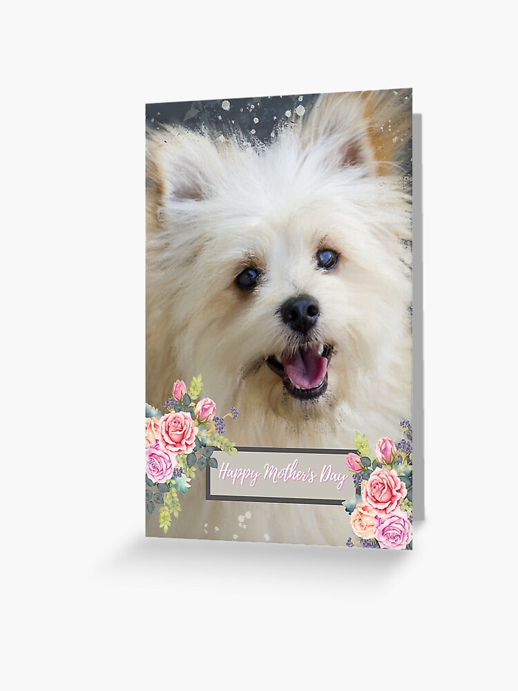 Maltese Mom Dog Mom Mothers Day Card, Maltese, Dog Mom Card, Happy