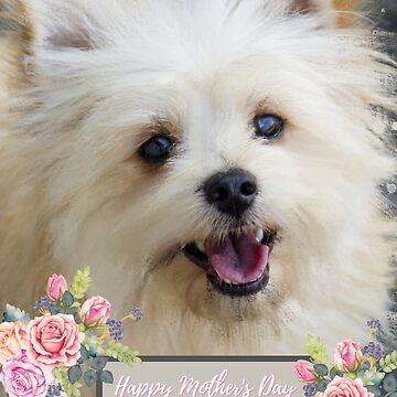 Maltese Mom Dog Mom Mothers Day Card, Maltese, Dog Mom Card, Happy Mothers  Day, Mother's Day, Pet Mom, Maltese Card, Dog Gift, Maltese Gift 