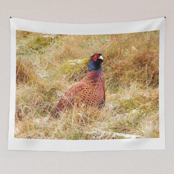 Item preview, A Wonderful Male Pheasant designed and sold by Karen Thomson.
