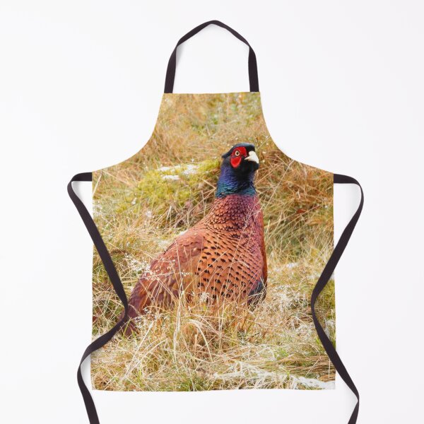 Item preview, A Wonderful Male Pheasant designed and sold by Karen Thomson.