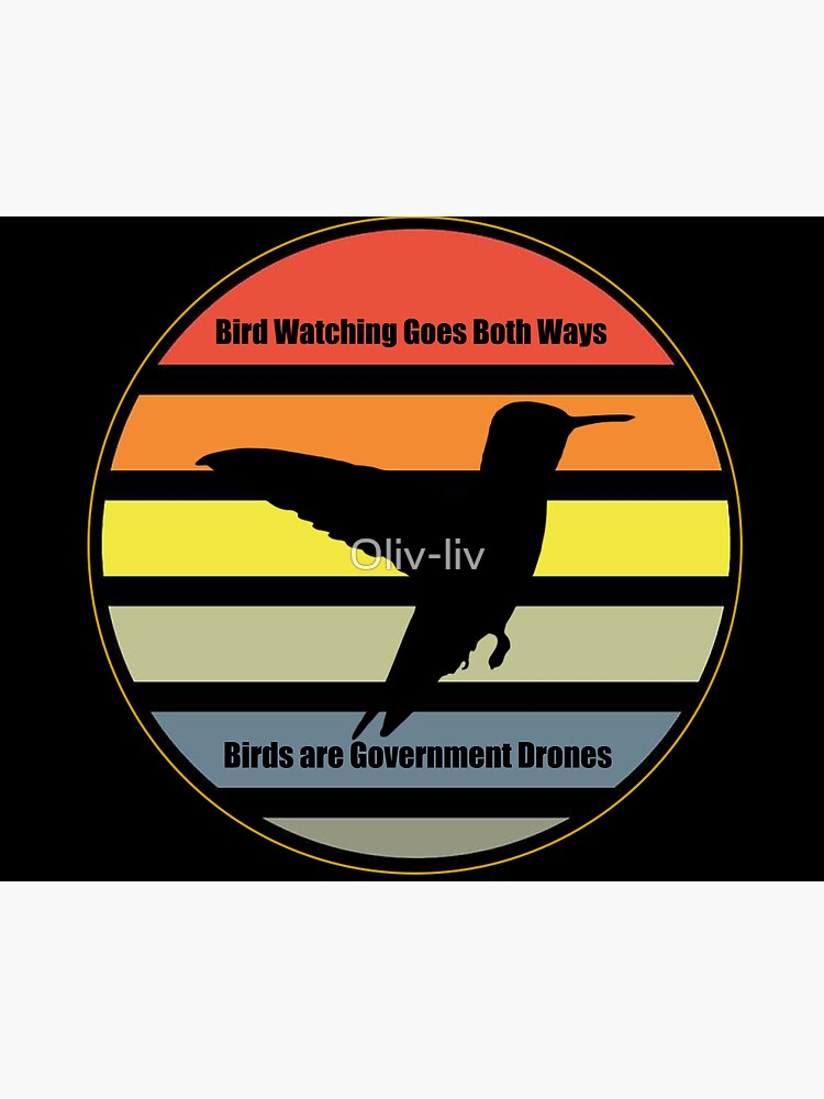 Birds best sale government drones