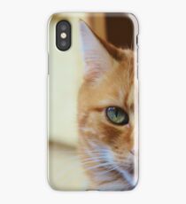 Aladdin iPhone Case/Skin