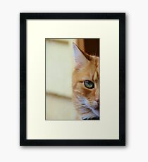 Aladdin Framed Print