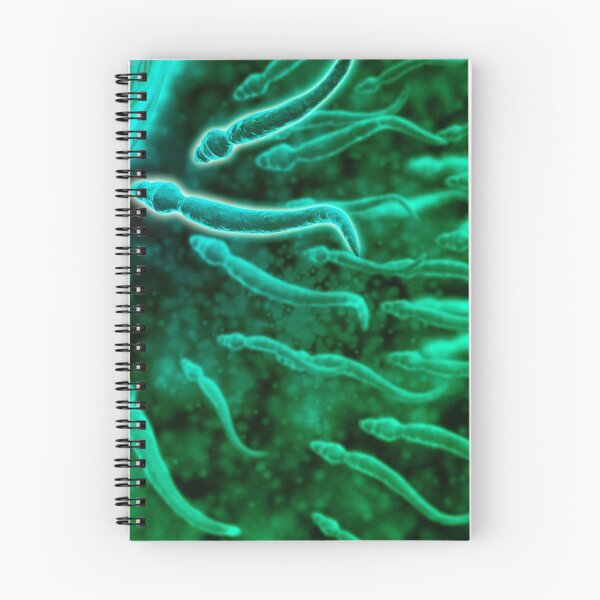 Item preview, STK700473H-Microscopic view of sperm swimming towards egg. designed and sold by StocktrekImages.
