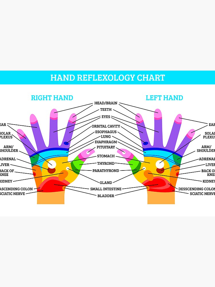 hand-reflexology-chart-art-board-print-for-sale-by-dusicap-redbubble for Free Printable Hand Reflexology Chart Hand Reflexology Chart