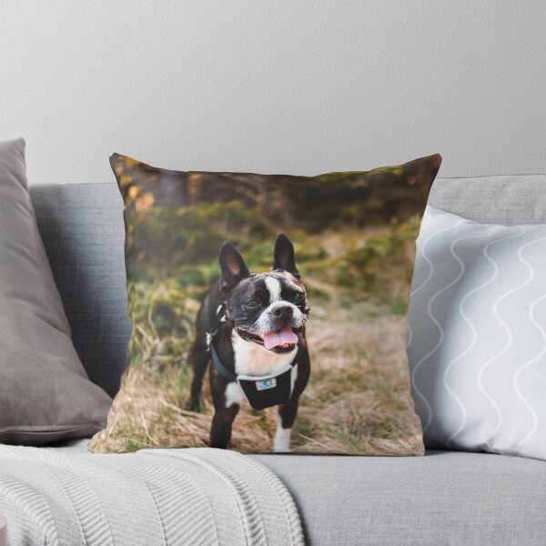 Item preview, Happy Little Boston Terrier designed and sold by SolomonsPics.