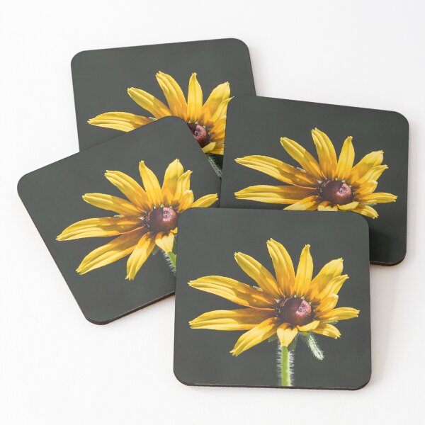 Item preview, Rudbeckia flower designed and sold by StohlerPhotos.