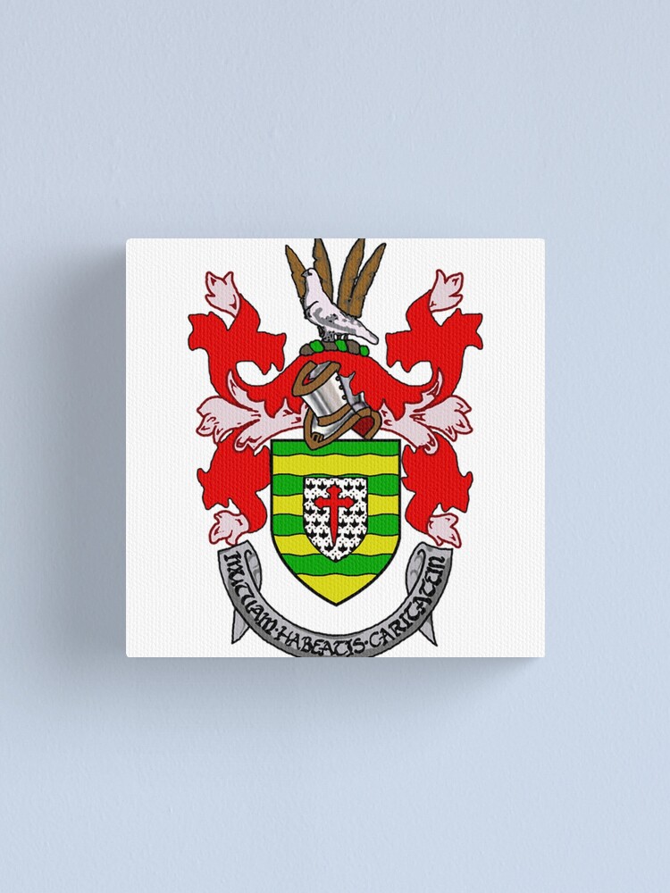 "Donegal County Coat of Arms" Canvas Print by downwithdetroit Redbubble