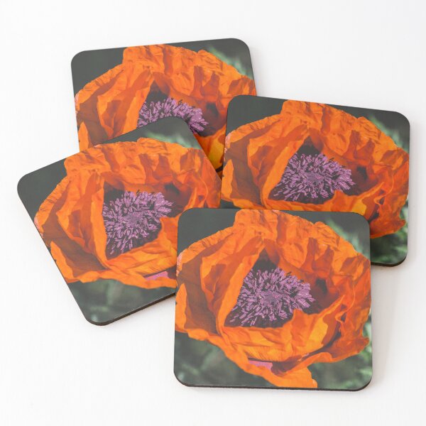 Item preview, Poppy flower designed and sold by StohlerPhotos.