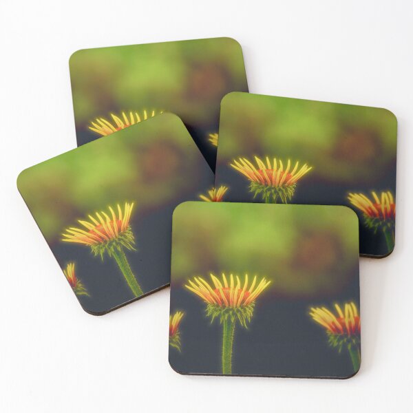 Item preview, Coneflowers designed and sold by Veikko  Suikkanen.