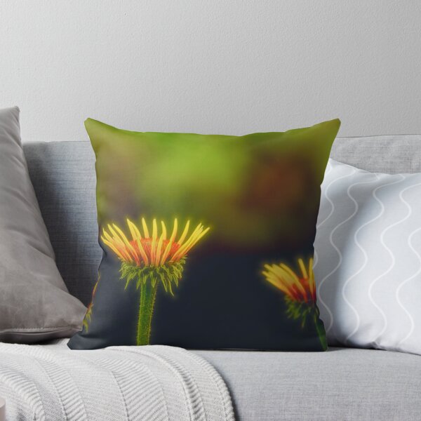Item preview, Coneflowers designed and sold by Veikko  Suikkanen.