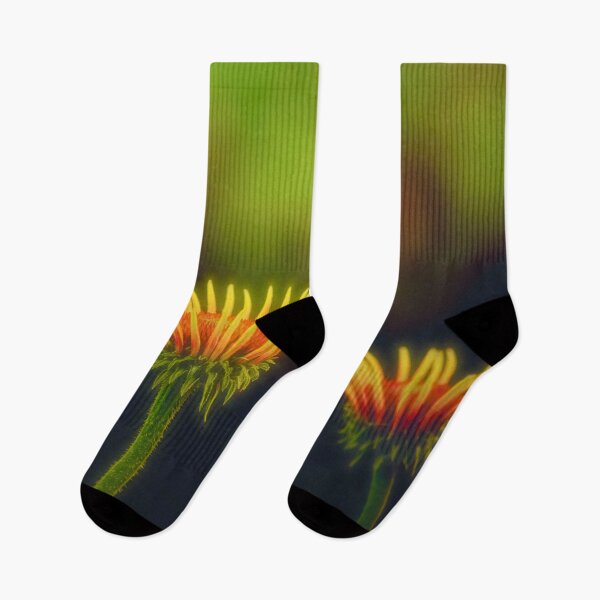 Item preview, Coneflowers designed and sold by Veikko  Suikkanen.