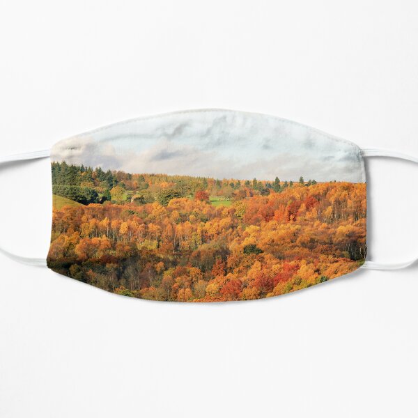 Autumn in Hamsterley Forest Flat Mask