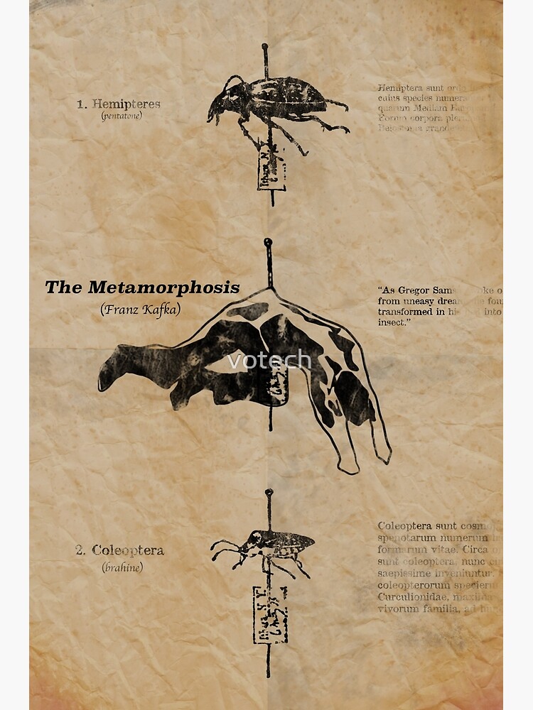 Metamorphosis by Franz Kafka