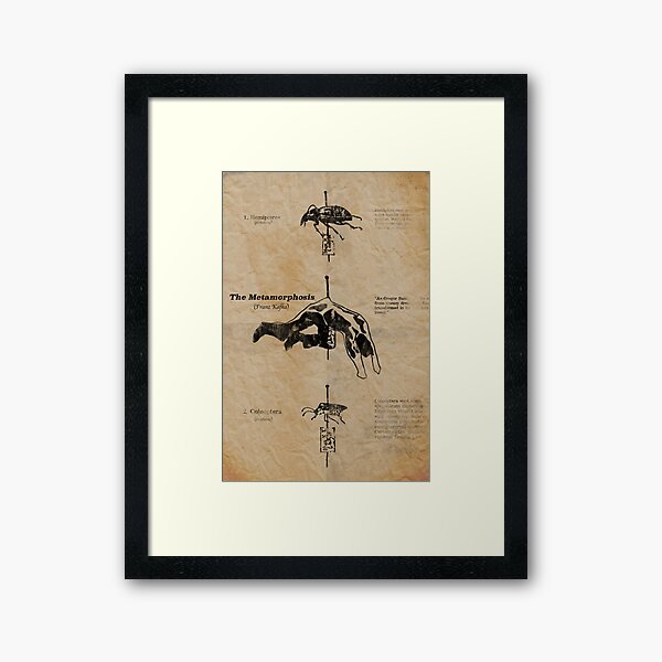 The Metamorphosis by Franz Kafka Framed Art Print