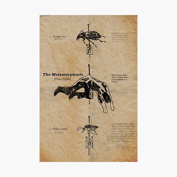 The Metamorphosis by Franz Kafka Photographic Print