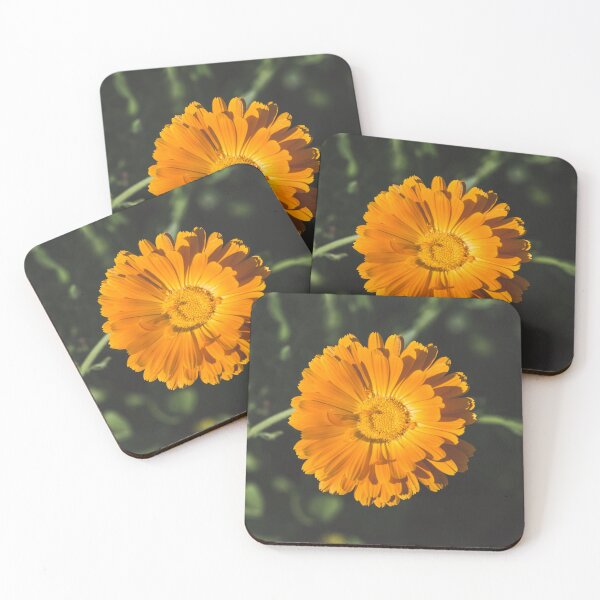 Item preview, Summer flower orange calendula designed and sold by StohlerPhotos.