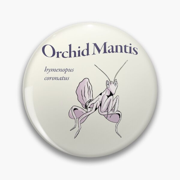 Item preview, Orchid Mantis hymenopus coronatus Latin Name designed and sold by wozzobstudios.