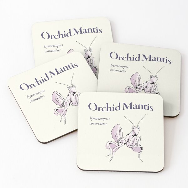 Item preview, Orchid Mantis hymenopus coronatus Latin Name designed and sold by wozzobstudios.