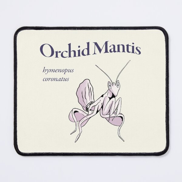 Item preview, Orchid Mantis hymenopus coronatus Latin Name designed and sold by wozzobstudios.