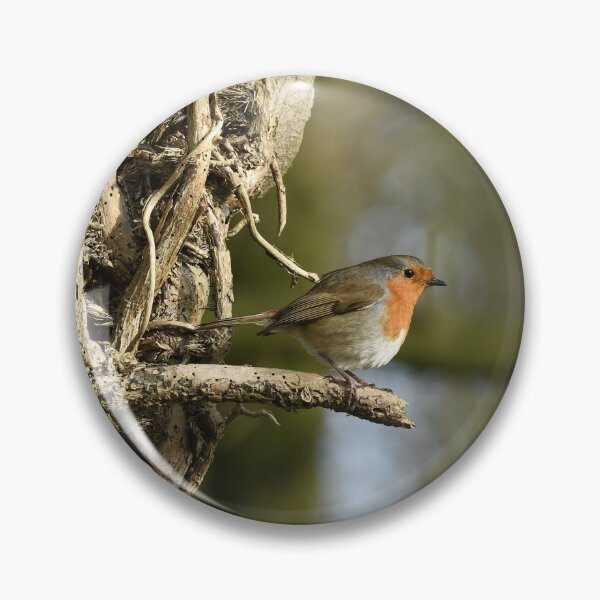 Item preview, Beautiful Robin designed and sold by rwhooster.
