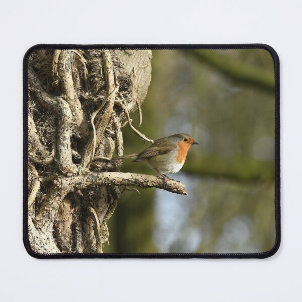 Item preview, Beautiful Robin designed and sold by rwhooster.