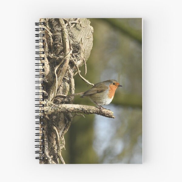 Item preview, Beautiful Robin designed and sold by rwhooster.
