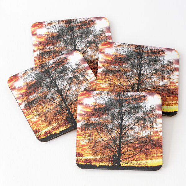 Item preview, Sunset sets the Tree on Fire designed and sold by knowswhathesees.