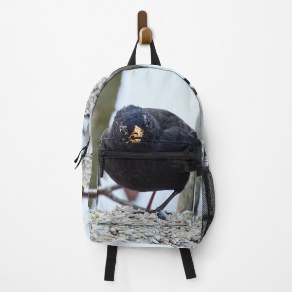 Item preview, The old king. Eurasian blackbird designed and sold by Jouko Lehto Photography.
