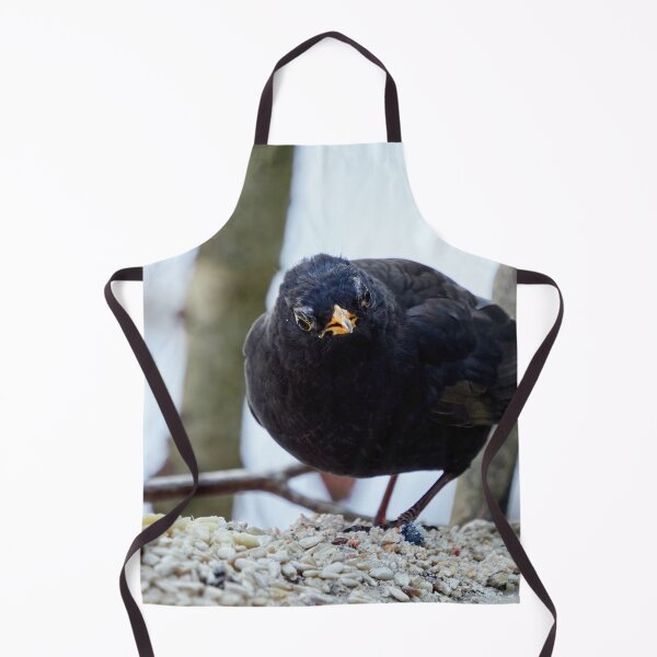 Item preview, The old king. Eurasian blackbird designed and sold by Jouko Lehto Photography.