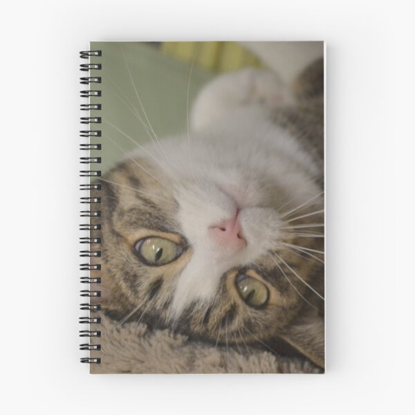 Item preview, Street Cats - Franklin! designed and sold by April Rhynold.