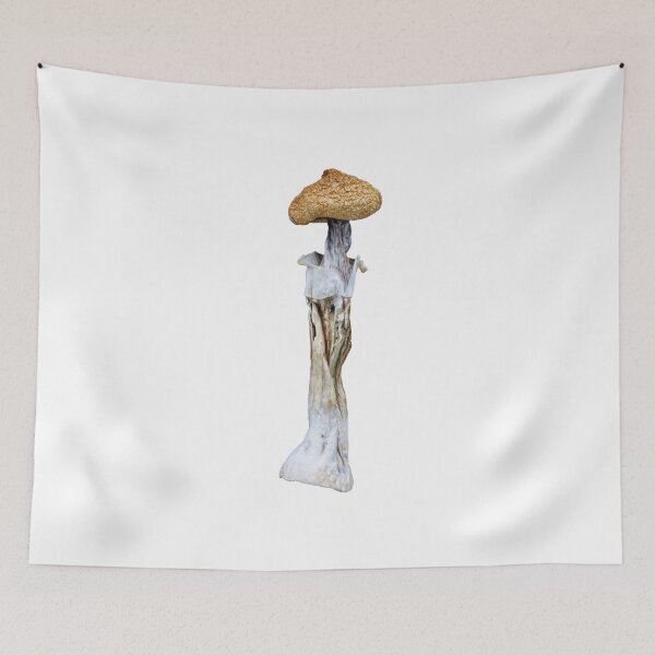 Item preview, Psilocybe Cubensis Mushroom designed and sold by Mindhive Visuals.