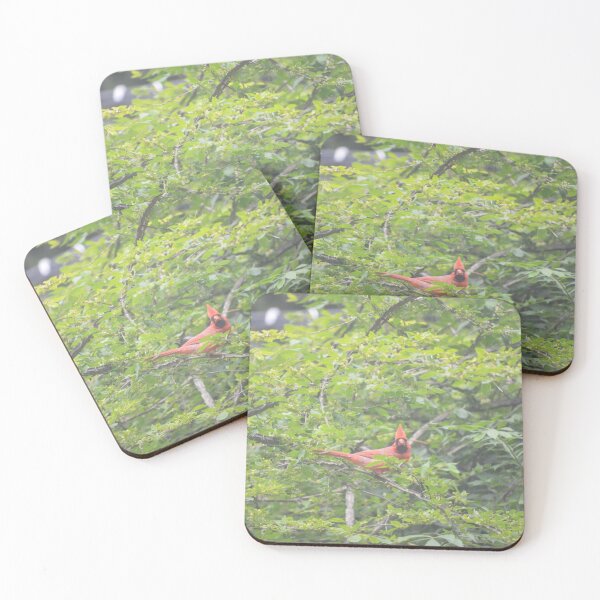 Item preview, Onlooking Cardinal designed and sold by enchantedvibes.