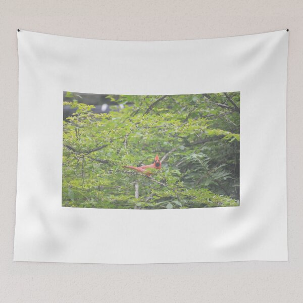 Item preview, Onlooking Cardinal designed and sold by enchantedvibes.