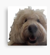 Kirby Metal Print