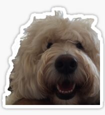 Kirby Sticker