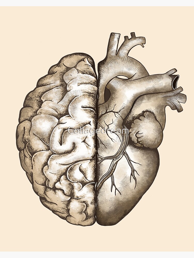 Half Brain Half Heart Organ Anatomy Science #2 Women's V-Neck by Toms Tee  Store - Pixels