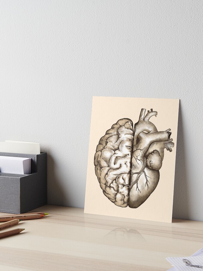 Right balance between head and brain or heart and feeling