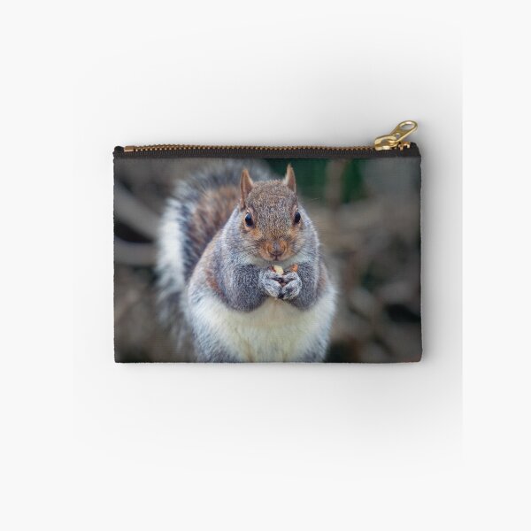 Item preview, Eastern tree squirrel eating peanuts designed and sold by Leighton Collins.