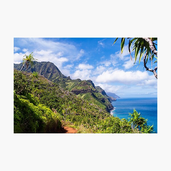 Kauai Wall Art for Sale